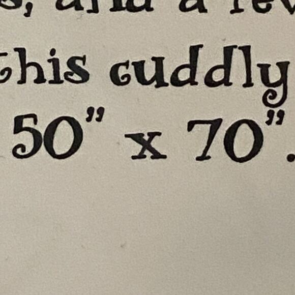 HPQ Design Pattern Kitty In The Corner Wall Quilt 50"x70" Fall Cozy Comfort - Picture 5 of 6